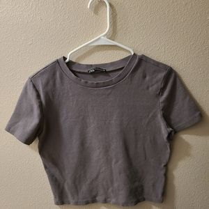Woman's Zara Gray Short Sleeve Basic Crop Top L